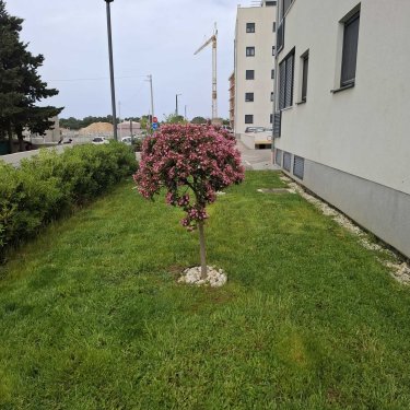 Odrzavanje stambenih zgrada