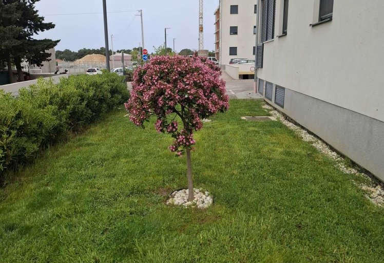 Odrzavanje stambenih zgrada