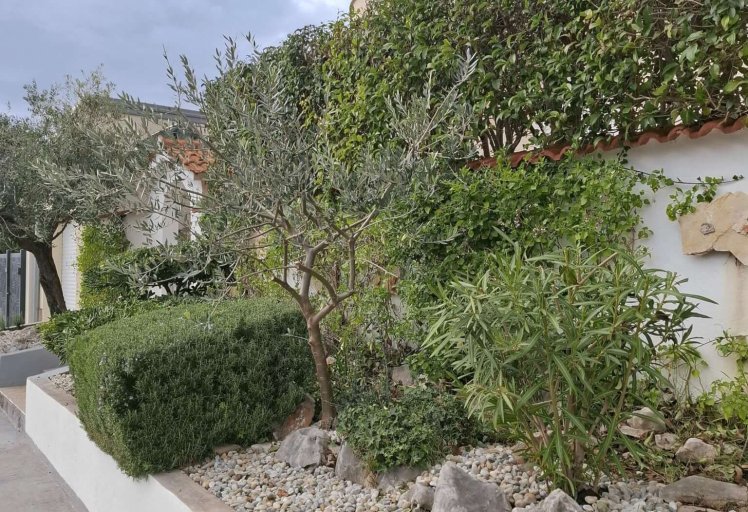 Psuređenje kamenjara2a