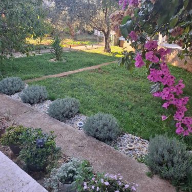 Pogled na uređeni vrt