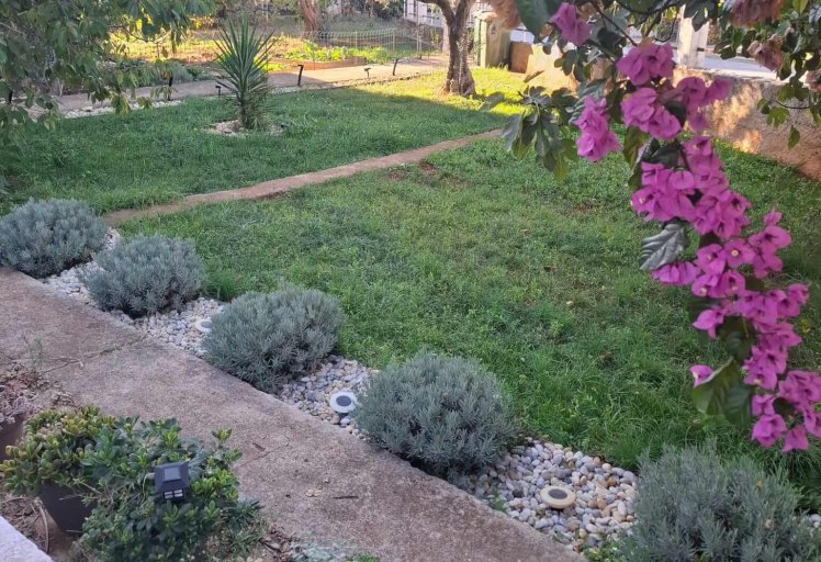 Pogled na uređeni vrt