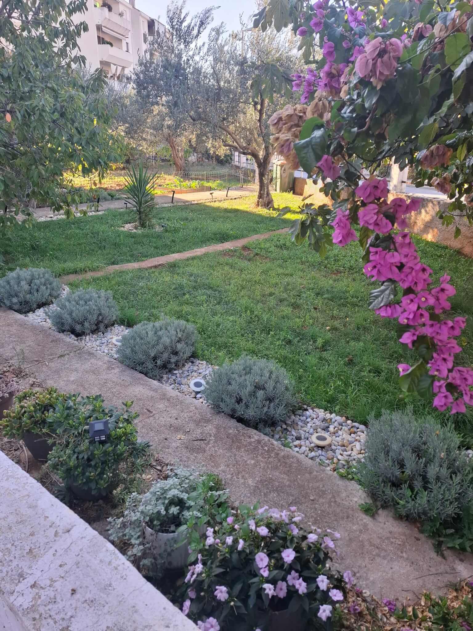 Pogled na uređeni vrt