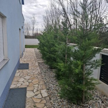 Održavanje vrta Privlaka pačempres